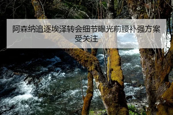 阿森纳追逐埃泽转会细节曝光前腰补强方案受关注